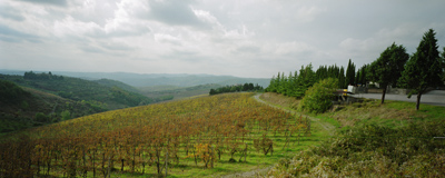 Природа  пейзаж_23