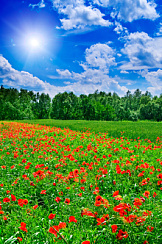Природа  пейзаж_20